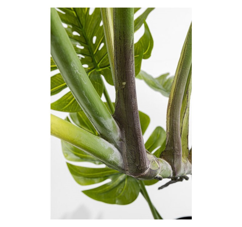 KARE roślina dekoracyjna MONSTERA 110 cm