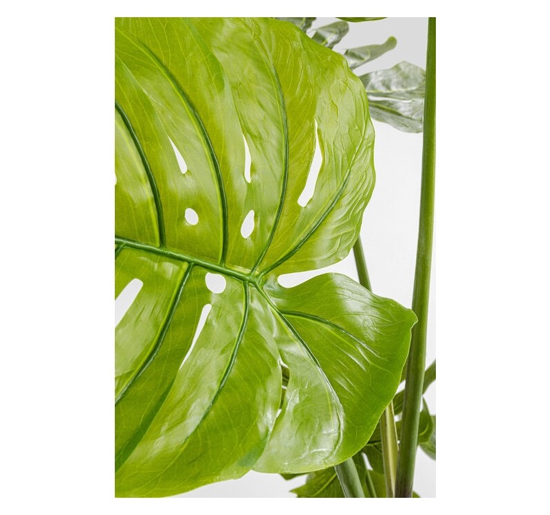 KARE roślina dekoracyjna MONSTERA 110 cm