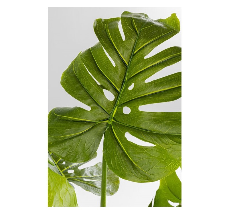 KARE roślina dekoracyjna MONSTERA 110 cm