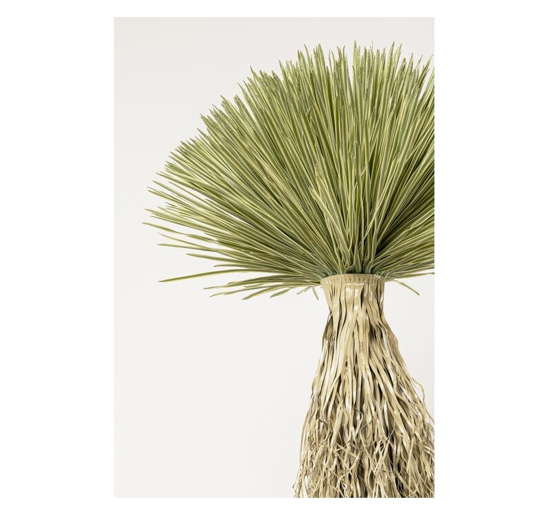 KARE roślina dekoracyjna YUCCA ROSTRATA   240 cm