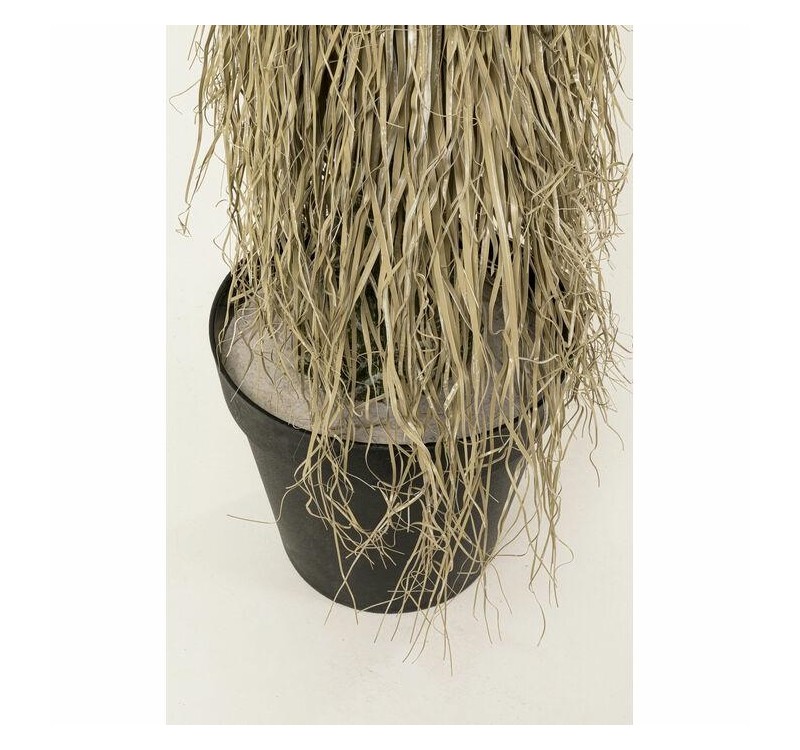 KARE roślina dekoracyjna YUCCA ROSTRATA   240 cm