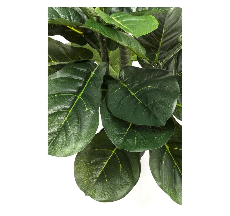 KARE roślina dekoracyjna FIDDLE LEAF 120  cm