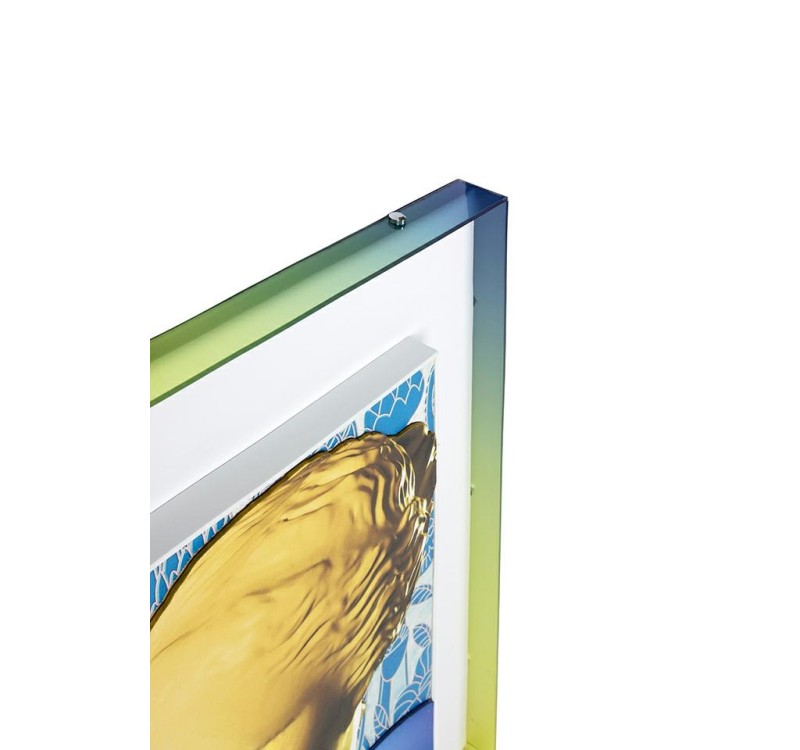 Obraz FANCY APOLLO 80x80 cm