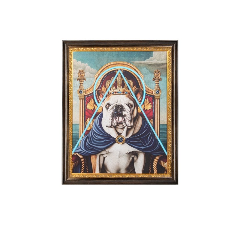 Obraz NEON BULLDOG 80x100 cm