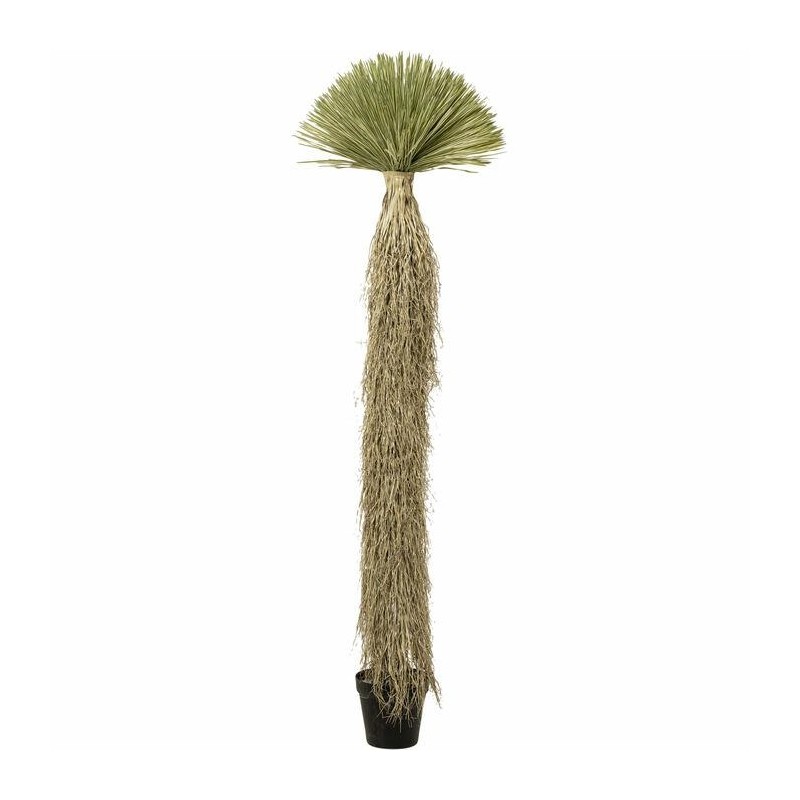 KARE roślina dekoracyjna YUCCA ROSTRATA   240 cm