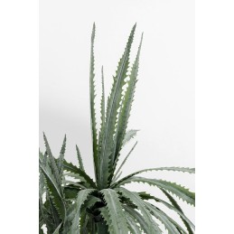 KARE roślina dekoracyjna DRAGON TREE 155  cm