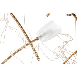 MOOSEE lampa wisząca TULIPPE 14 DISC złota