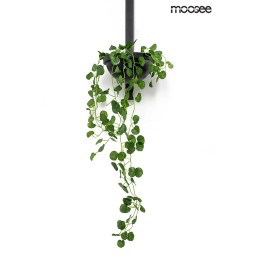 MOOSEE lampa ścienna PLANT WALL czarna
