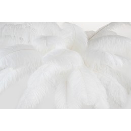 MOOSEE lampa podłogowa TIFFANY 175 biała  mosiądz / naturalne pióra