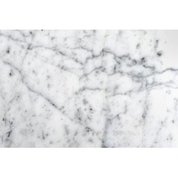 Stół TULIP ELLIPSE MARBLE CARRARA 200     biały - marmur, metal