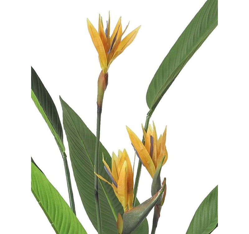 KARE roślina dekoracyjna PARADISE         FLOWERS 190 cm